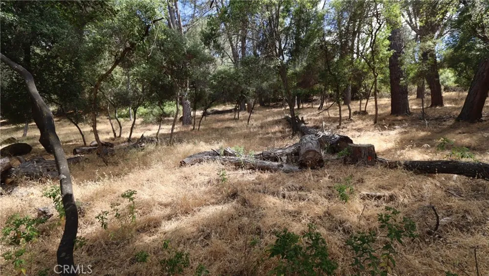 10465 Boren Bega Drive Kelseyville, CA 95451