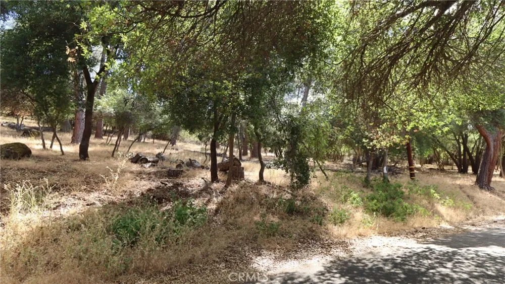 10465 Boren Bega Drive Kelseyville, CA 95451