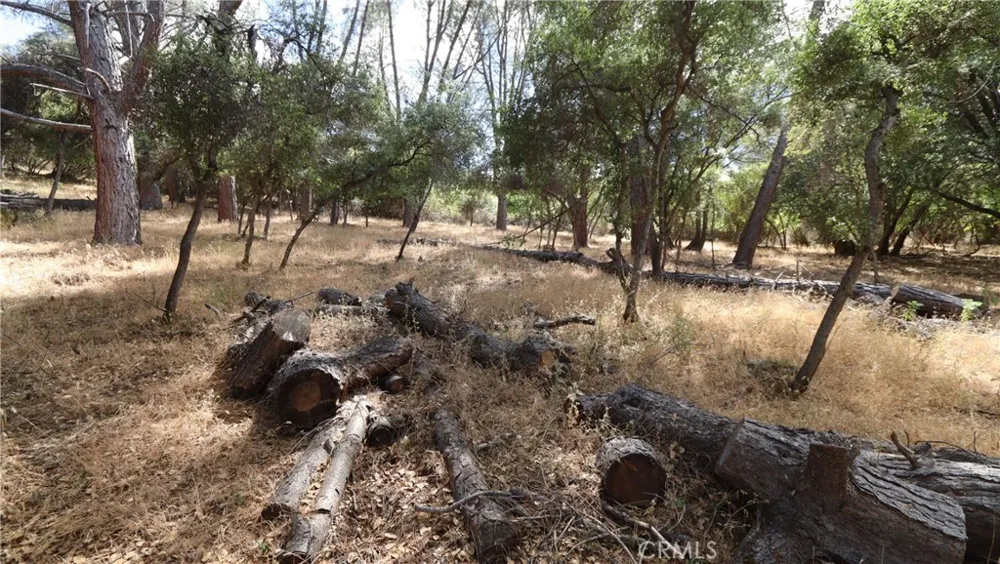 10465 Boren Bega Drive Kelseyville, CA 95451