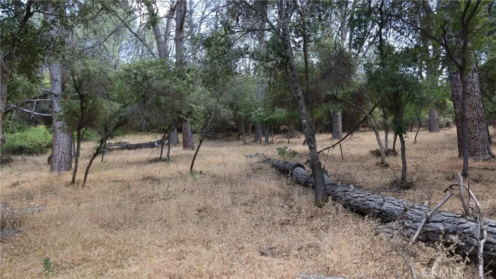 10465 Boren Bega Drive Kelseyville, CA 95451