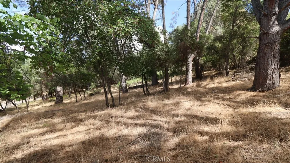 10465 Boren Bega Drive Kelseyville, CA 95451