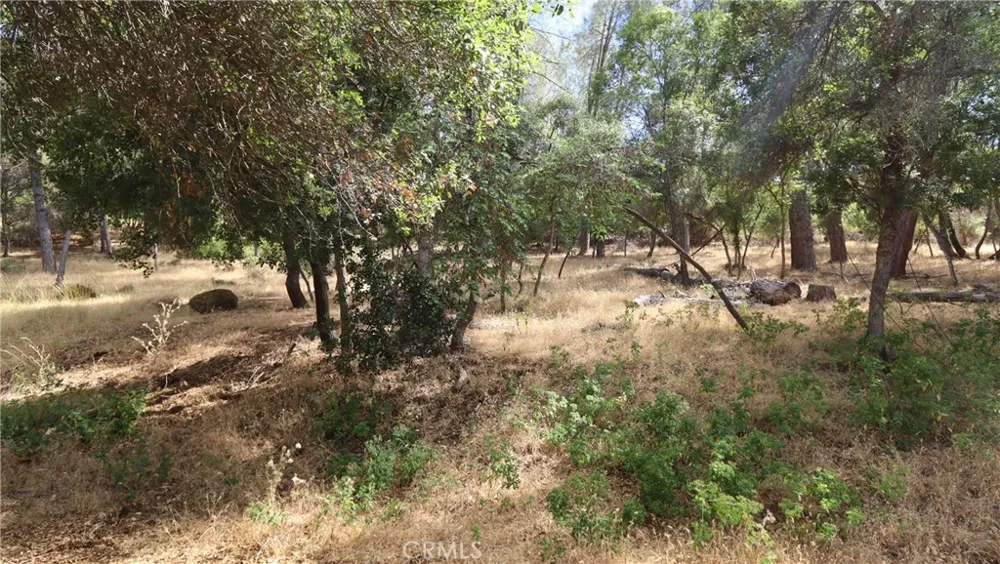 10465 Boren Bega Drive Kelseyville, CA 95451