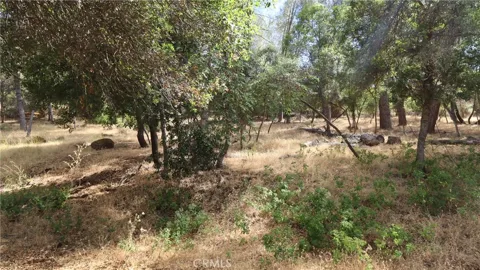 10465 Boren Bega Drive