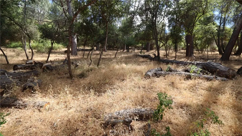 10465 Boren Bega Drive Kelseyville, CA 95451