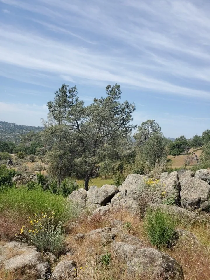 Ranger Circle Drive Coarsegold, CA 93614