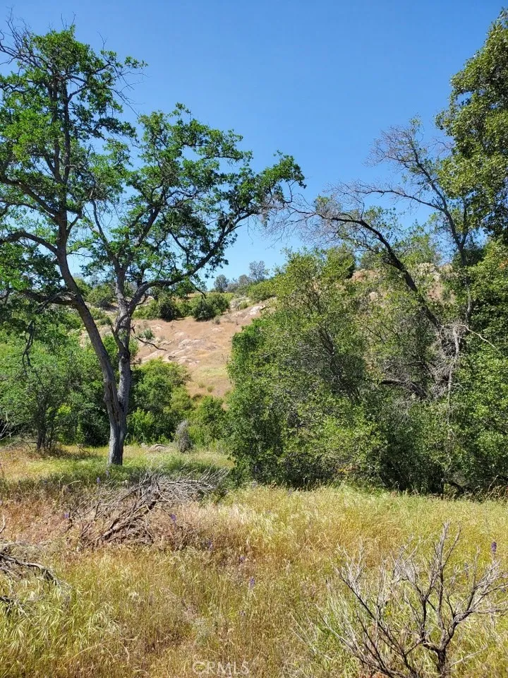 Ranger Circle Drive Coarsegold, CA 93614