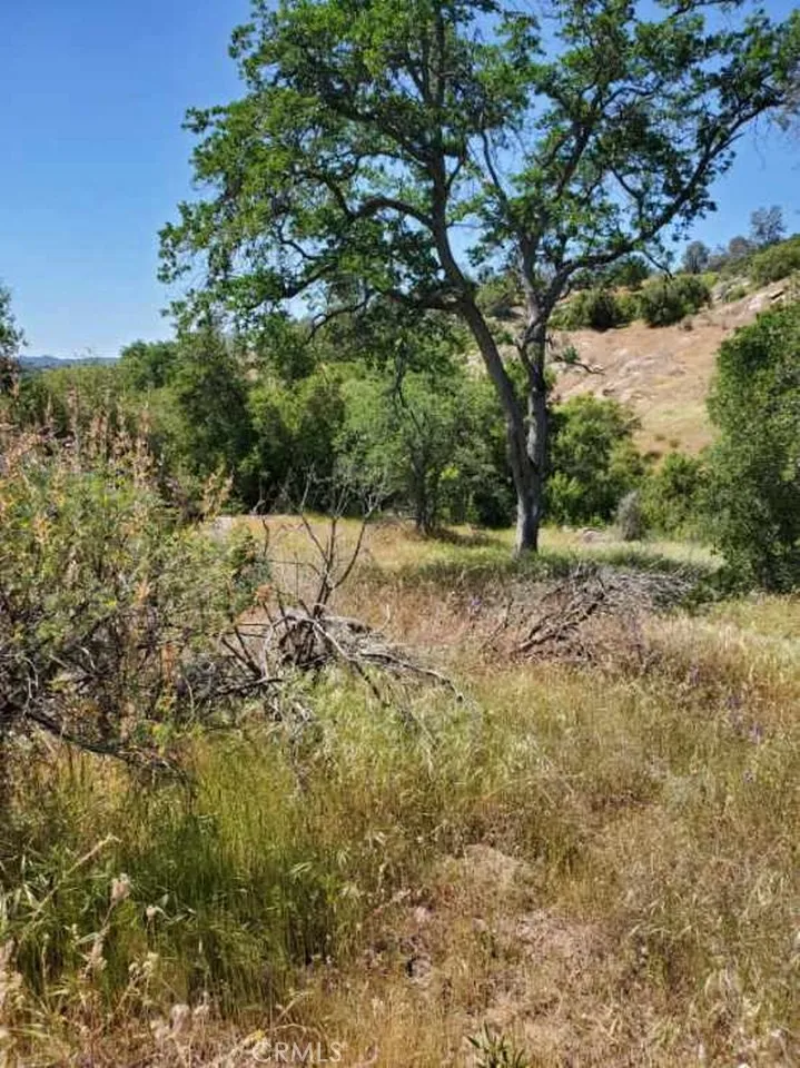 Ranger Circle Drive Coarsegold, CA 93614