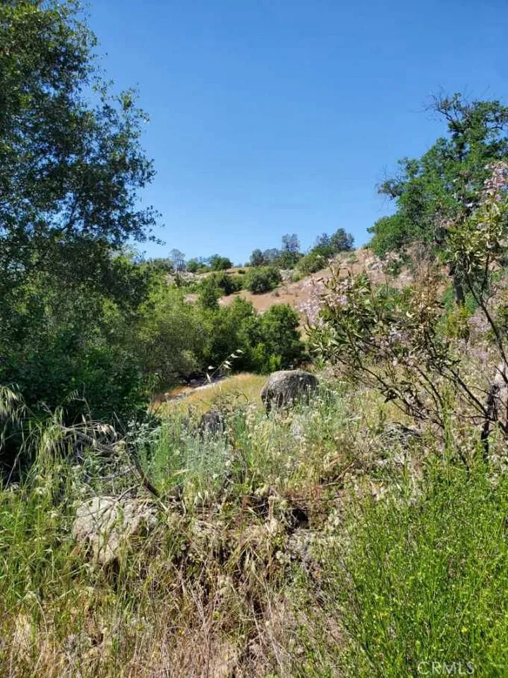 Ranger Circle Drive Coarsegold, CA 93614