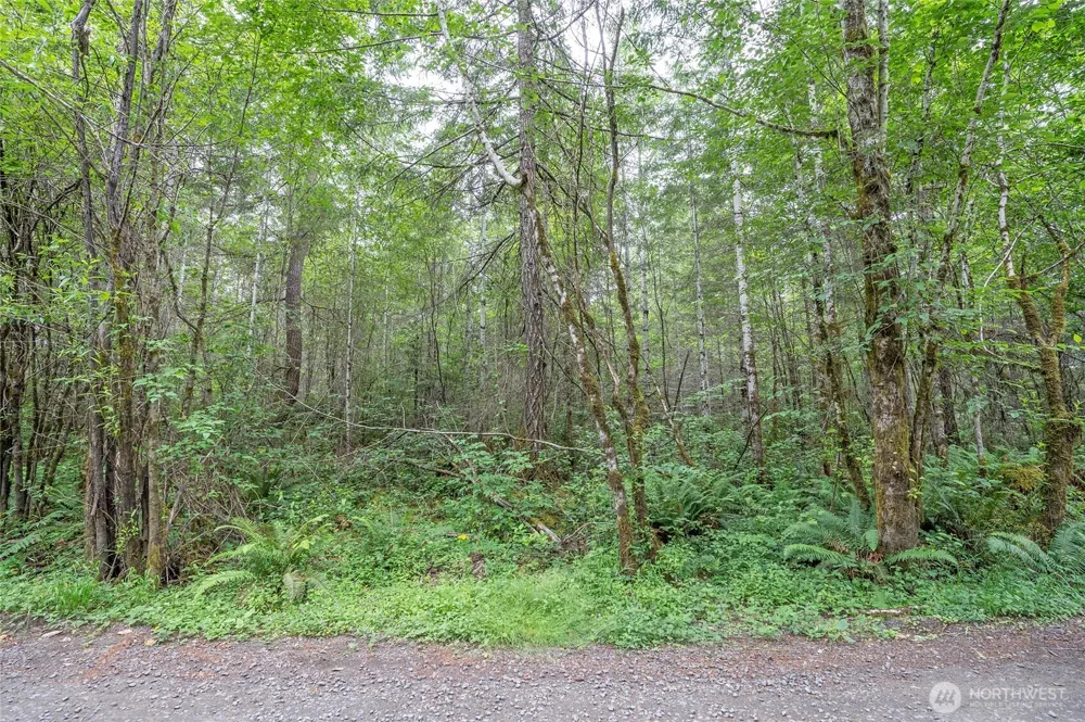 0 E Tepee Lane Belfair, WA 98528