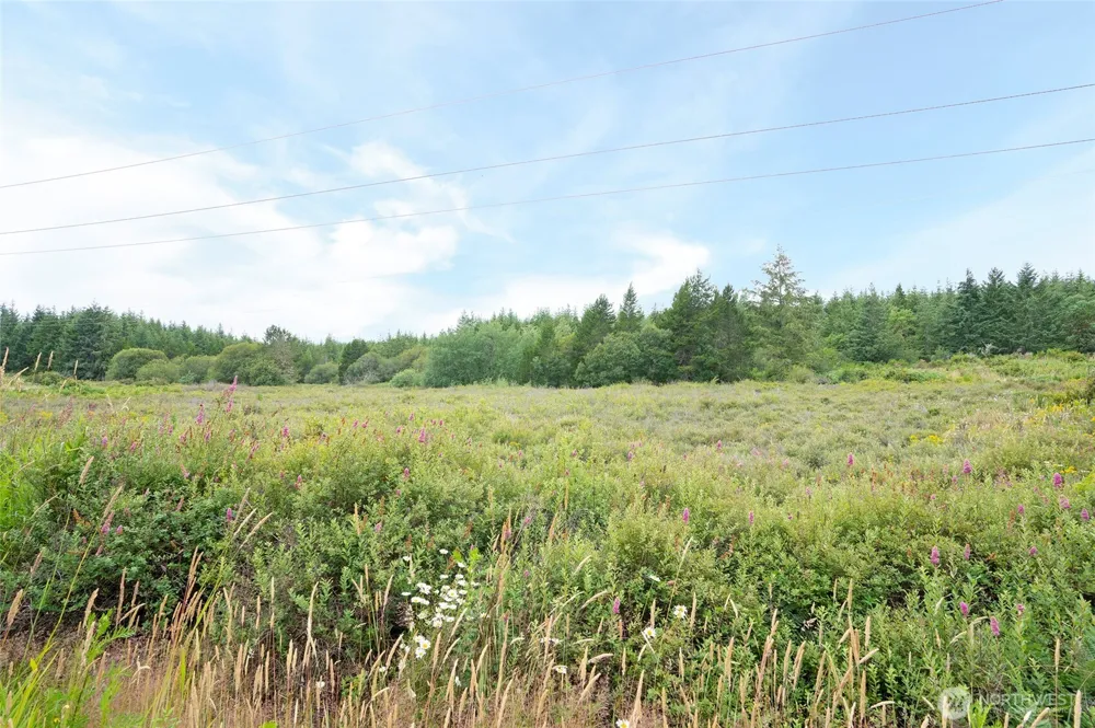 0 E Tepee Lane Belfair, WA 98528