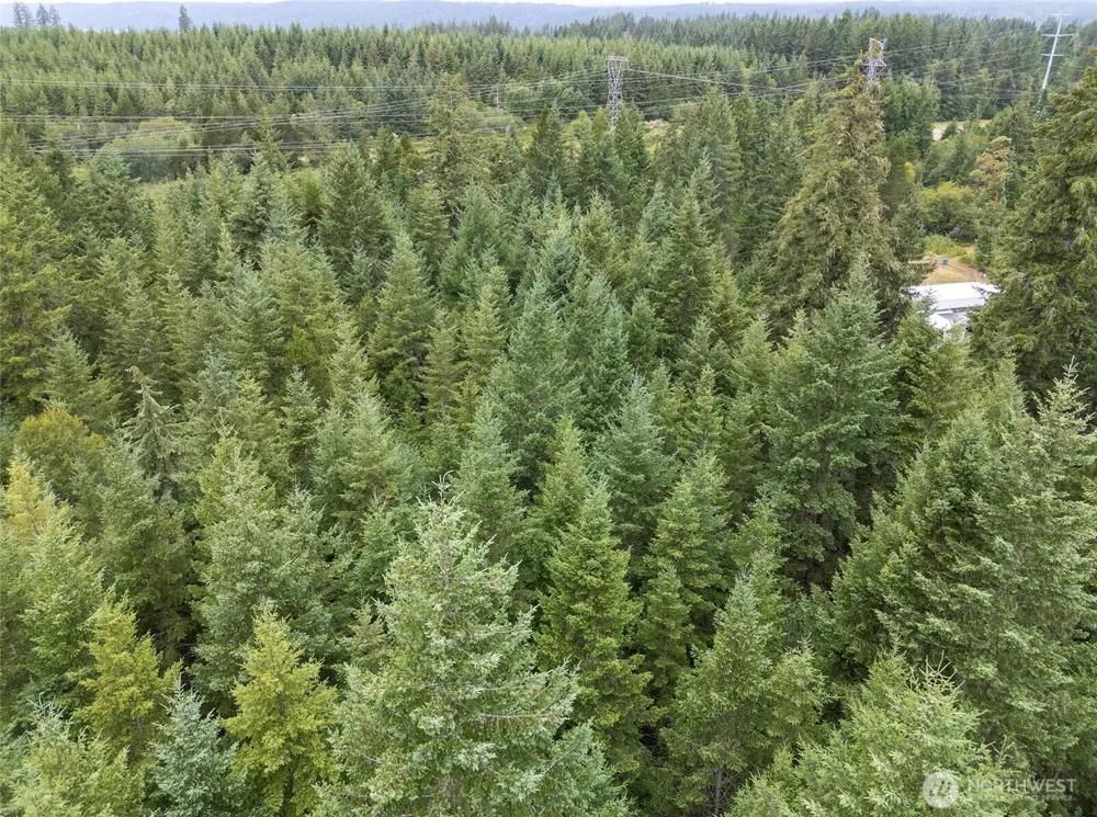0 E Tepee Lane Belfair, WA 98528
