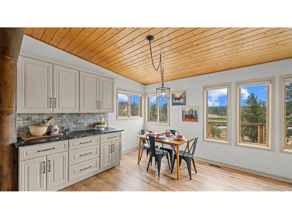 925 Midland Court Lake George, CO 80827