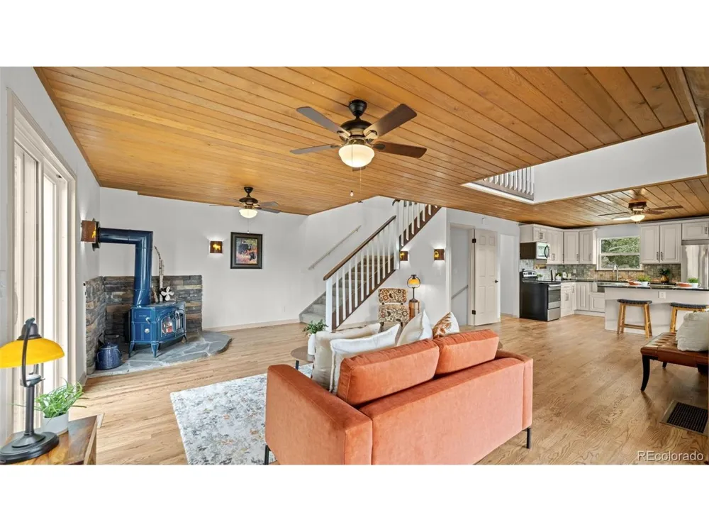 925 Midland Court Lake George, CO 80827