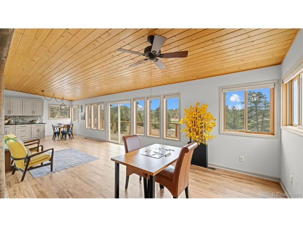 925 Midland Court Lake George, CO 80827
