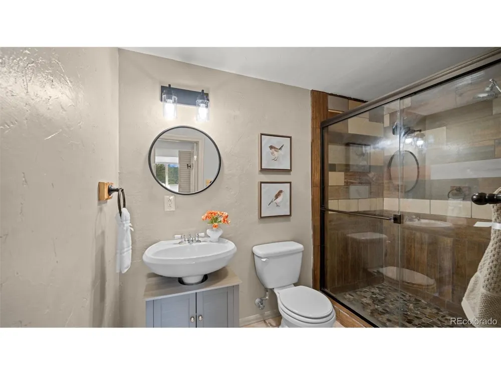 925 Midland Court Lake George, CO 80827