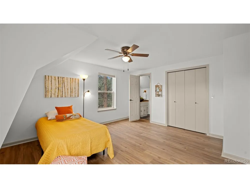 925 Midland Court Lake George, CO 80827