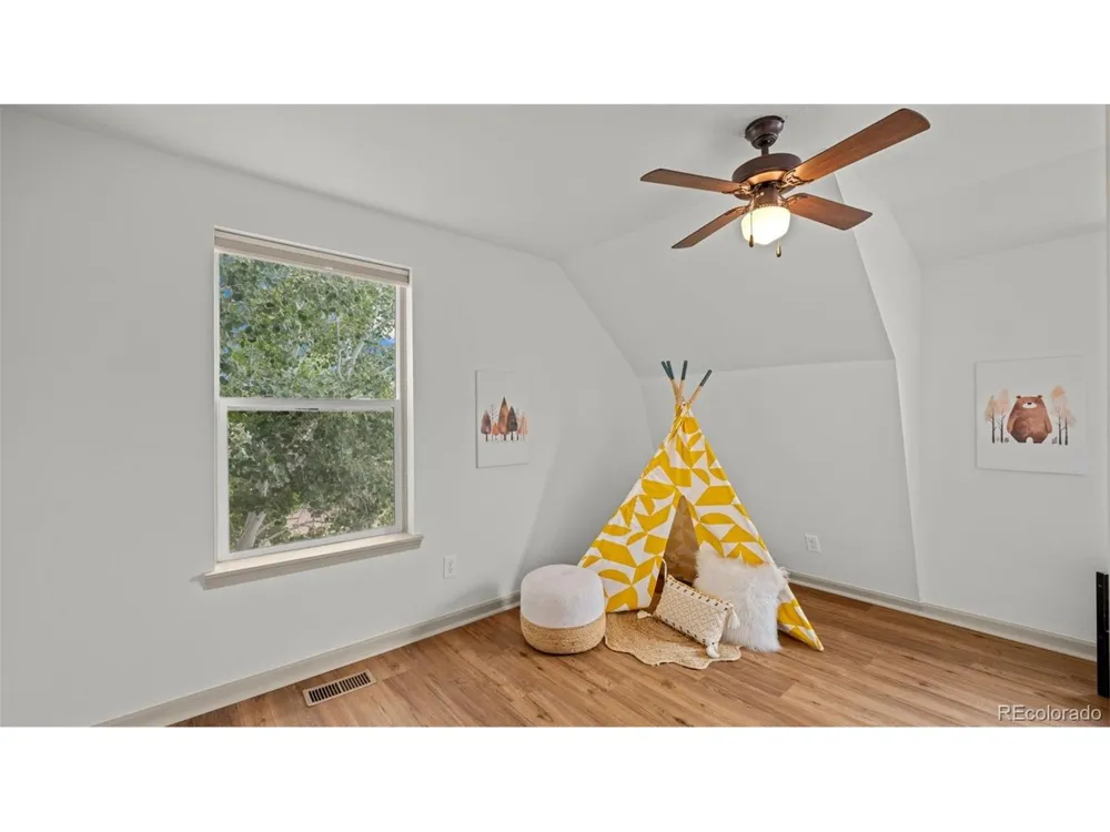 925 Midland Court Lake George, CO 80827