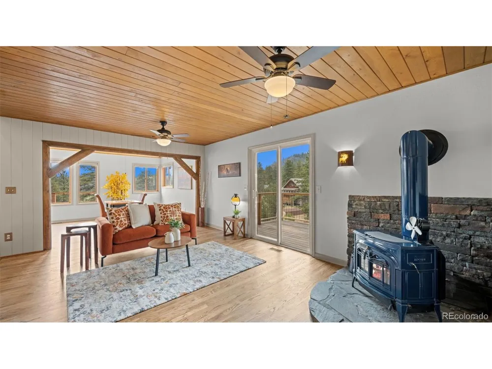 925 Midland Court Lake George, CO 80827
