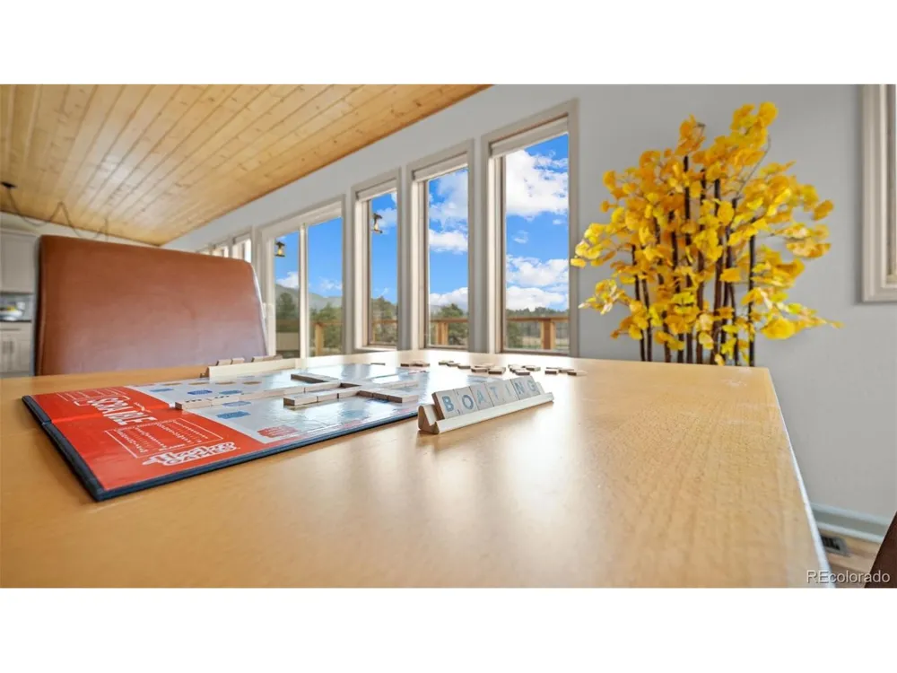 925 Midland Court Lake George, CO 80827