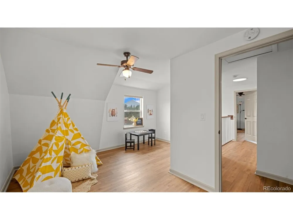 925 Midland Court Lake George, CO 80827