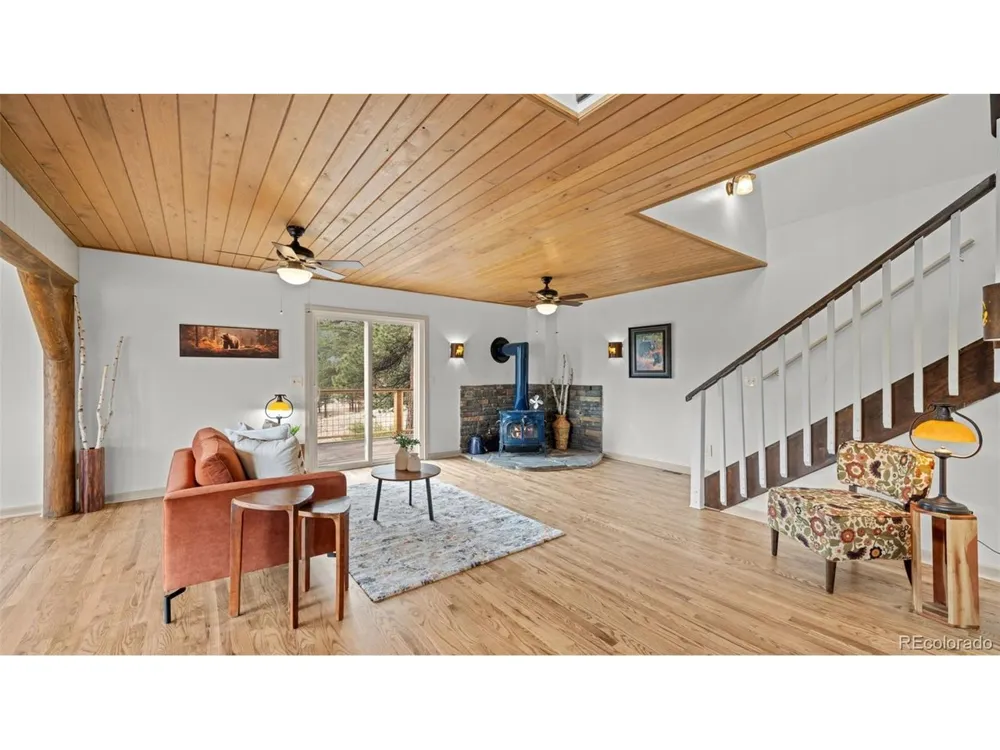 925 Midland Court Lake George, CO 80827