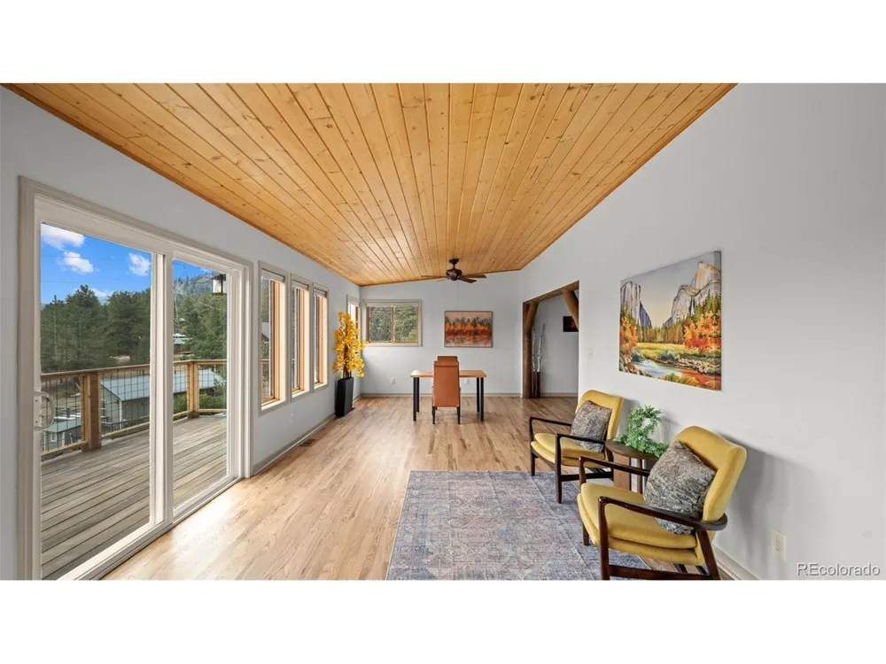 925 Midland Court Lake George, CO 80827