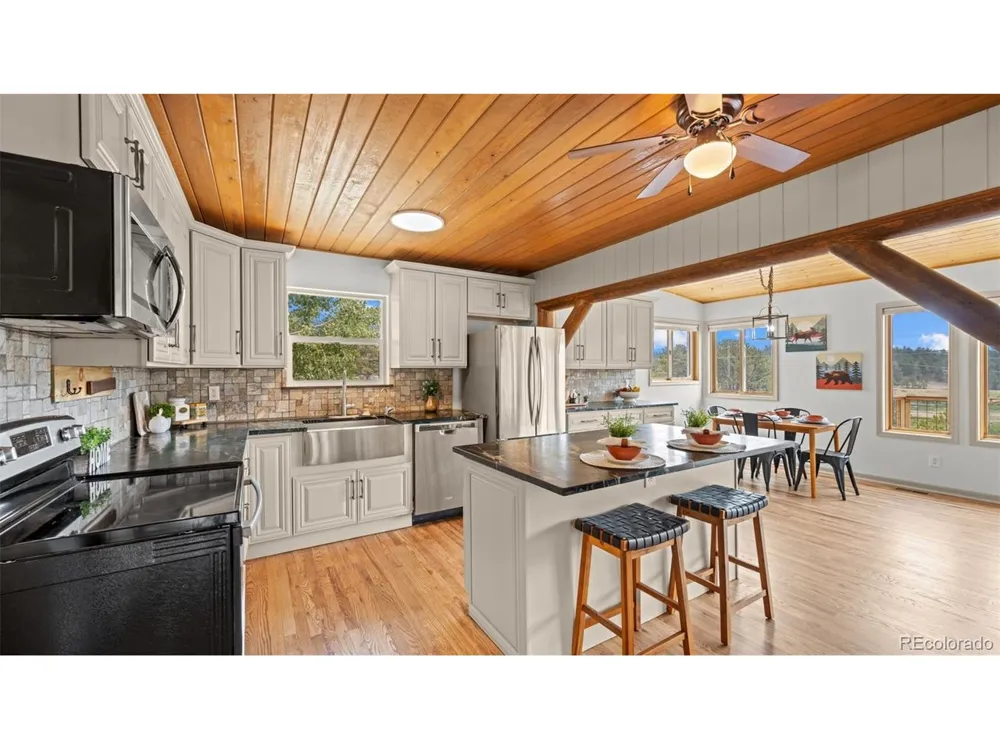 925 Midland Court Lake George, CO 80827