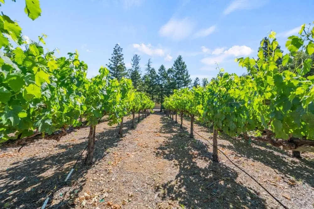 24970 Okeefe Lane Los Altos Hills, CA 94022