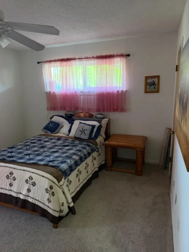 110 Circle Drive Point, TX 75472