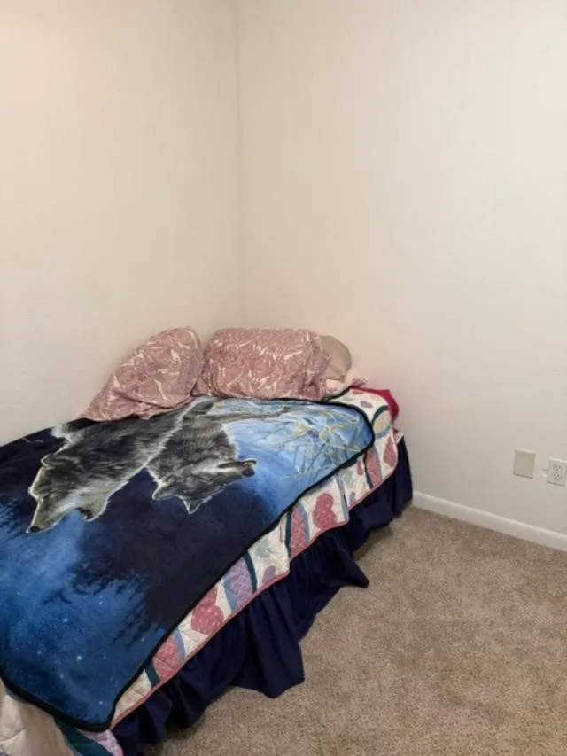 110 Circle Drive Point, TX 75472