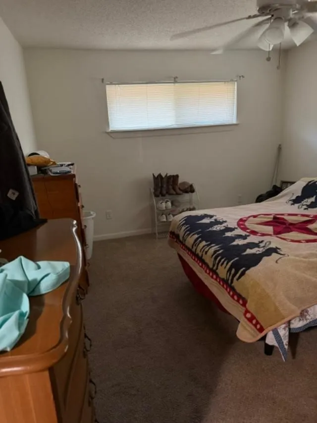 110 Circle Drive Point, TX 75472