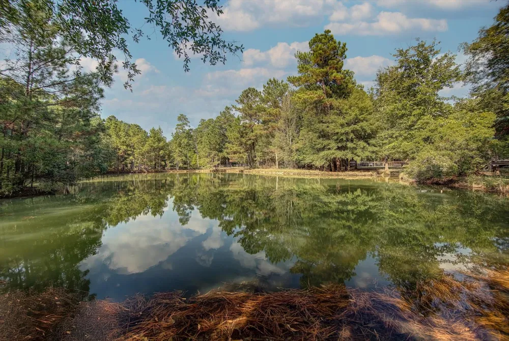 11170 Fm 1008 Dayton, TX 77535