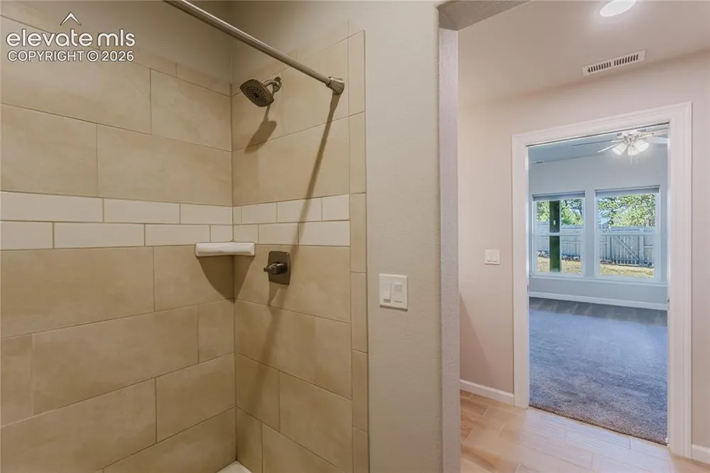 407 Silvermoon Heights Divide, CO 80814