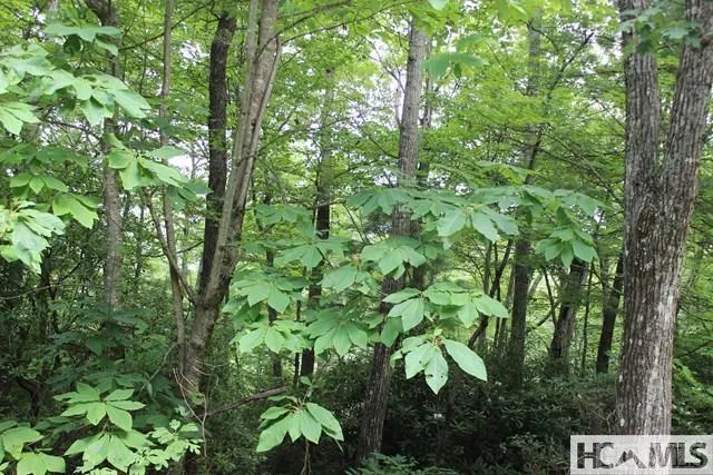 PH1 L4 Whitewater Ridge Road Sapphire, NC 28774