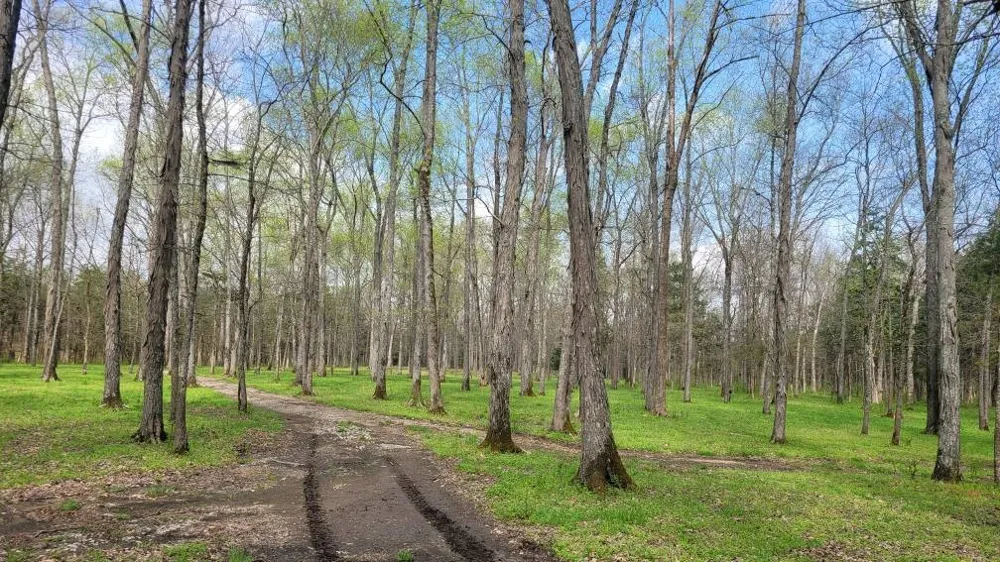 0 Pass Rd Shelbyville, TN 37160