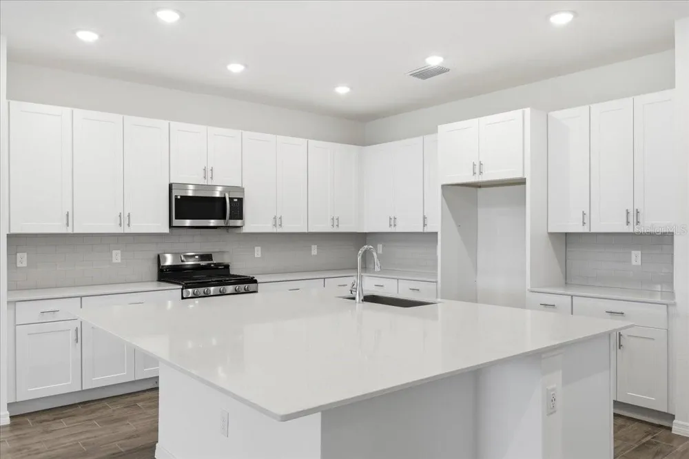 3094 WINDSWEPT WAY Wildwood, FL 34785