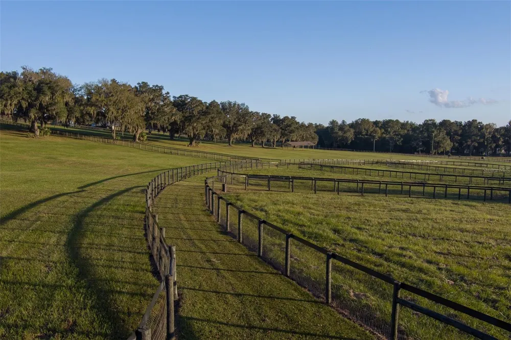 9504 NW HWY 320 Micanopy, FL 32667