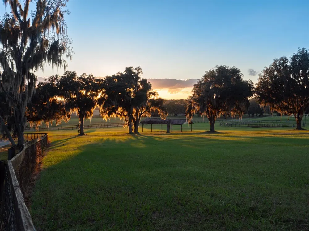 9504 NW HWY 320 Micanopy, FL 32667