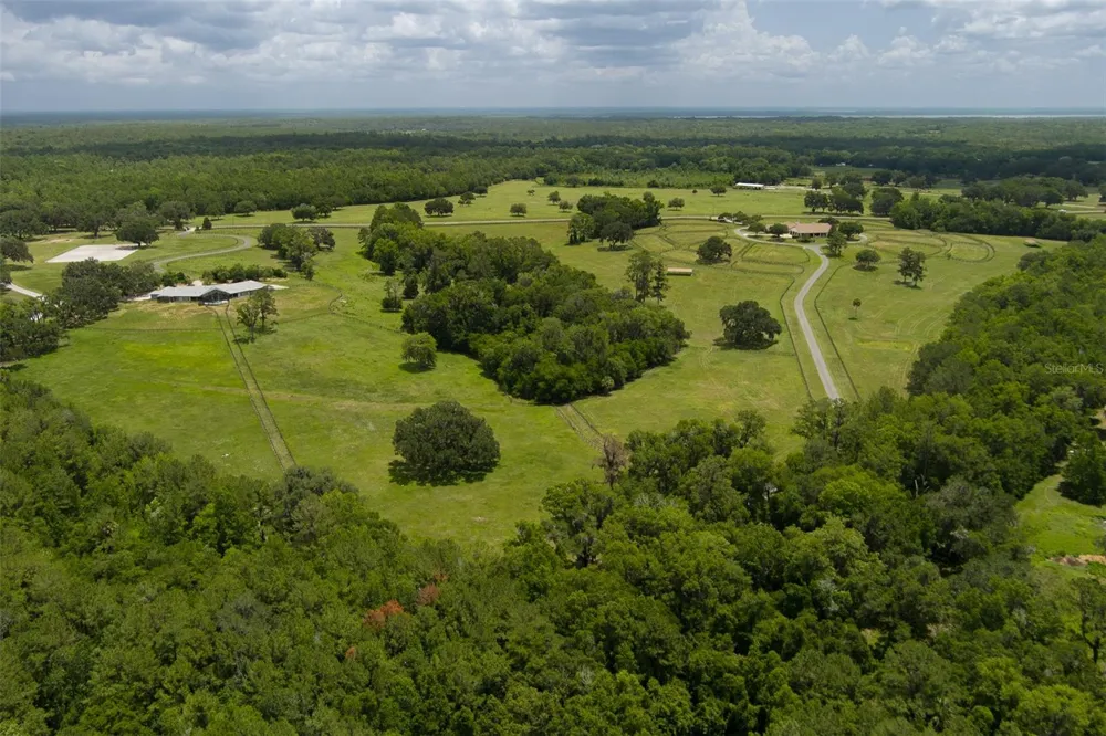 9504 NW HWY 320 Micanopy, FL 32667
