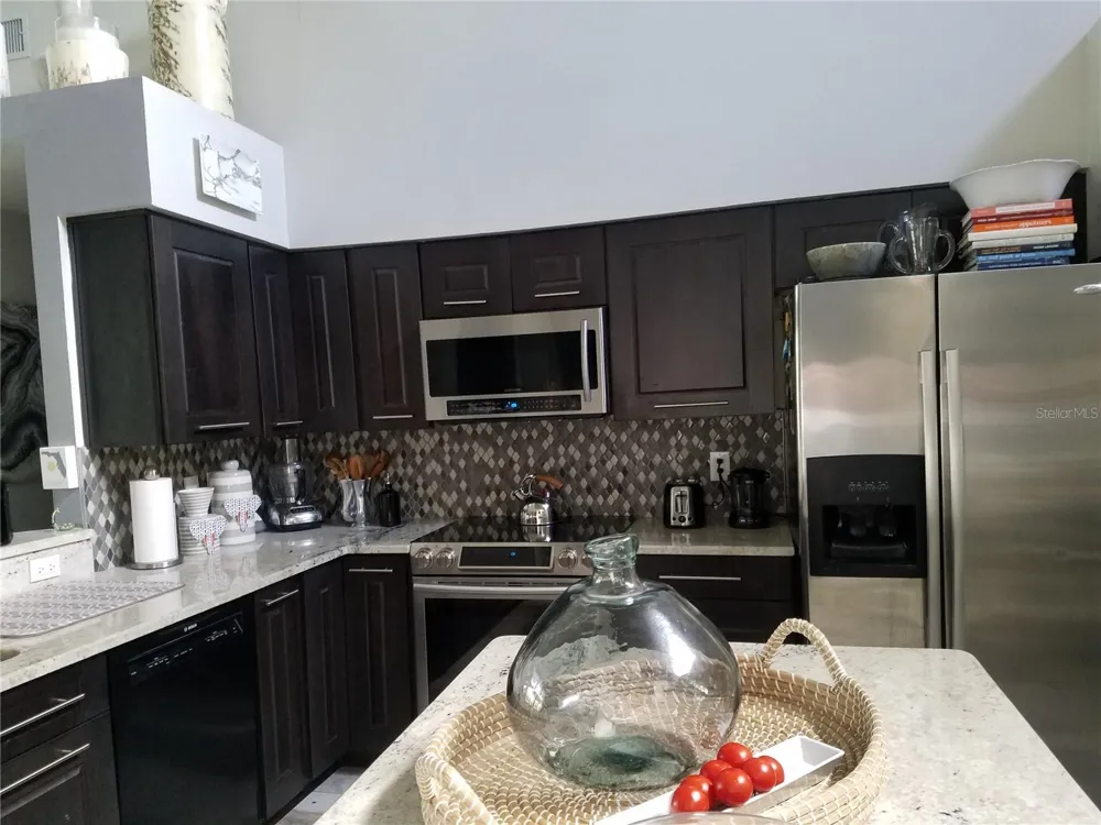 15211 ARBOR HOLLOW DRIVE Odessa, FL 33556