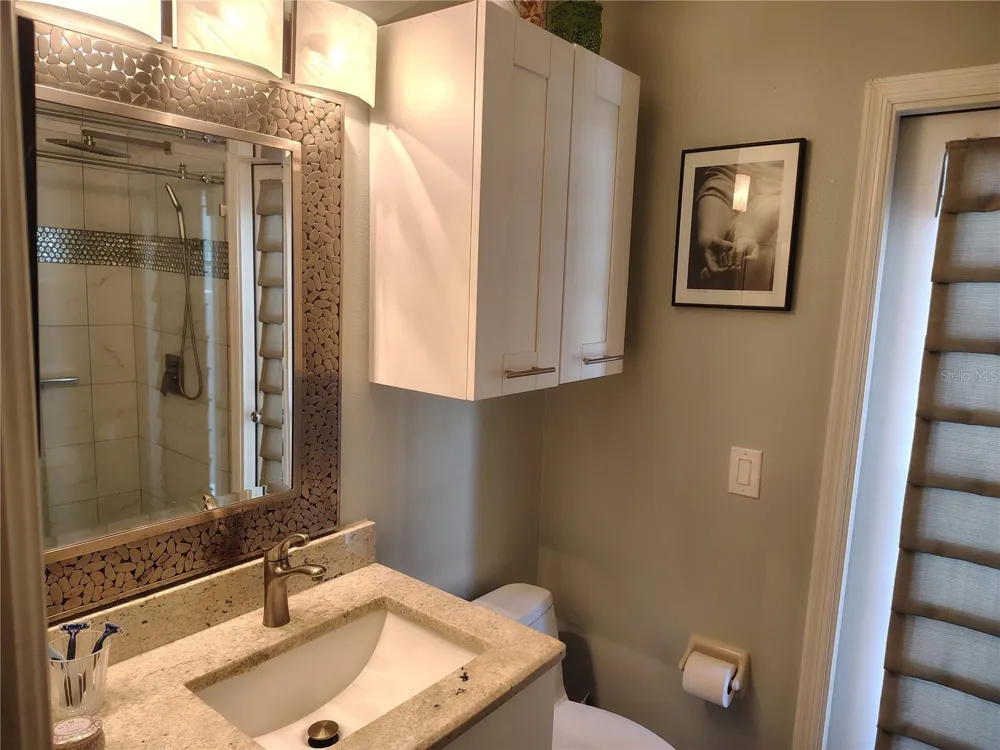 15211 ARBOR HOLLOW DRIVE Odessa, FL 33556