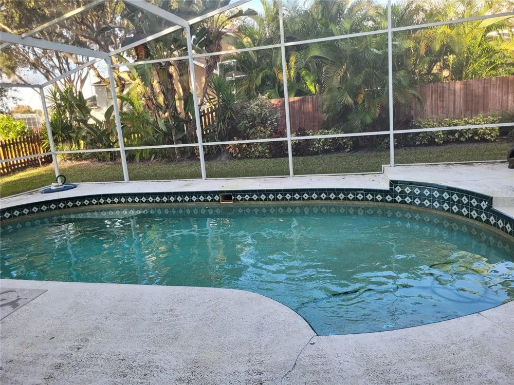 15211 ARBOR HOLLOW DRIVE Odessa, FL 33556