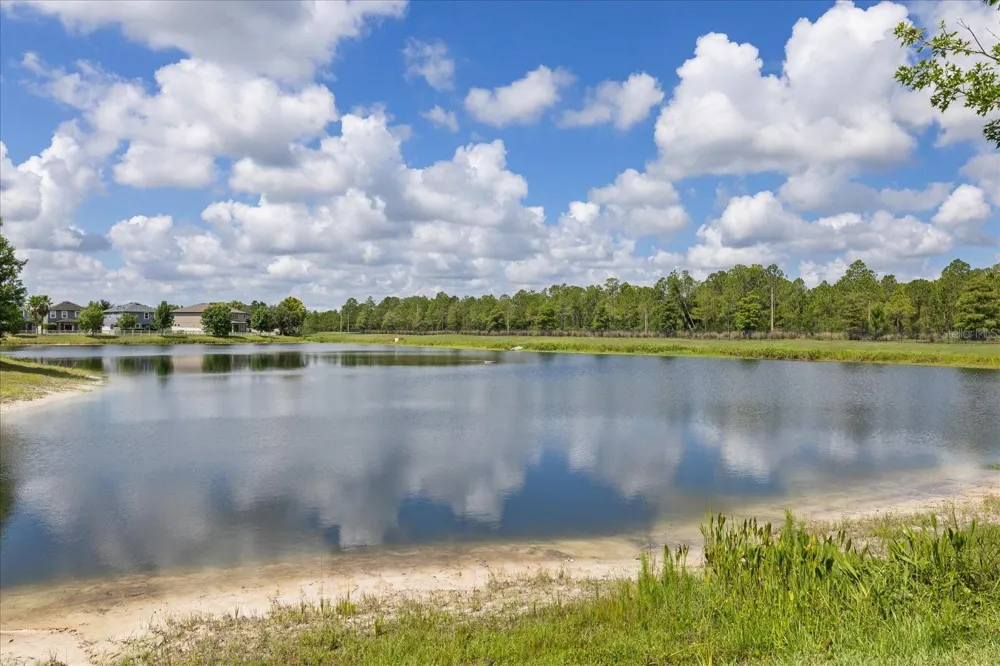 18876 BEAUTYBERRY COURT Lutz, FL 33558