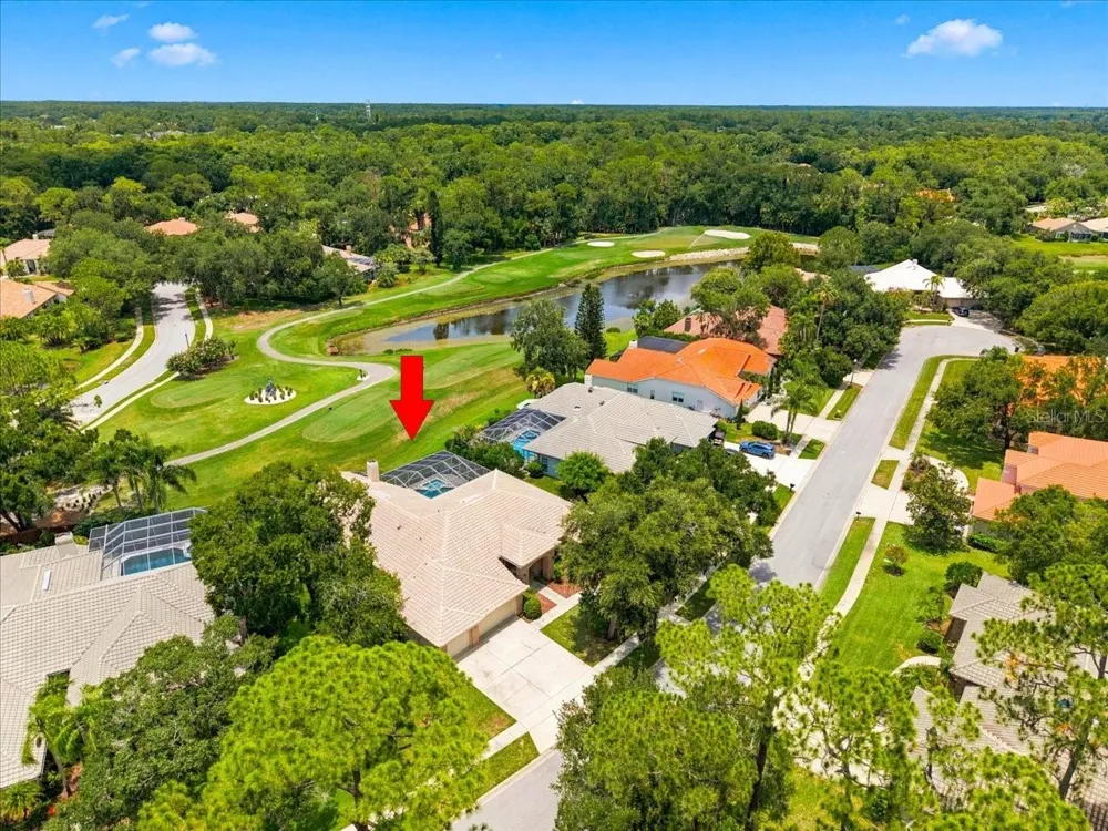 85 KELLEYS TRAIL Oldsmar, FL 34677