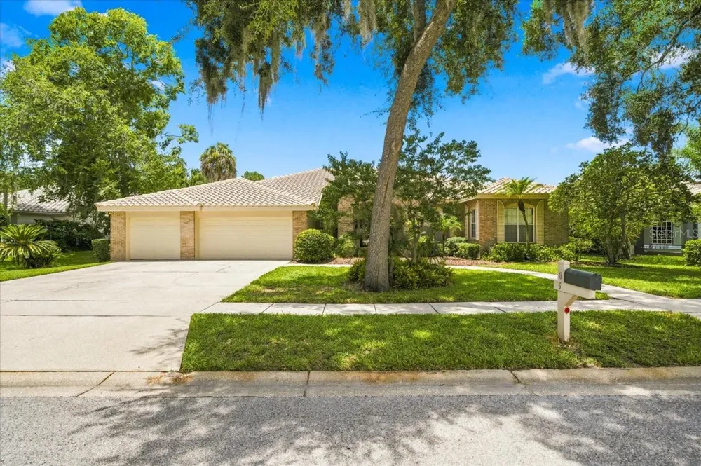 85 KELLEYS TRAIL Oldsmar, FL 34677