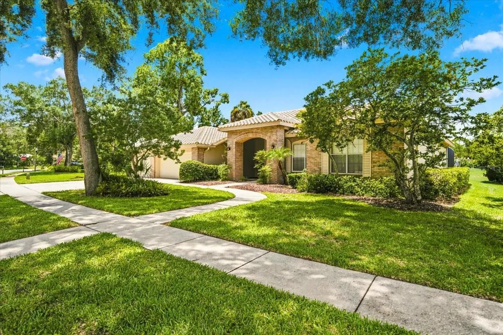 85 KELLEYS TRAIL Oldsmar, FL 34677