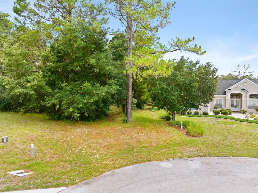 17 WOODLEE COURT S Homosassa, FL 34446