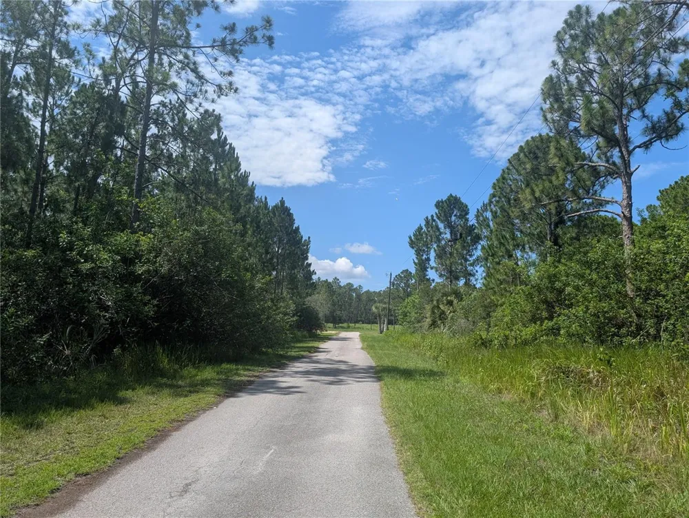 30 AMARYLLIS DRIVE Indian Lake Estates, FL 33855