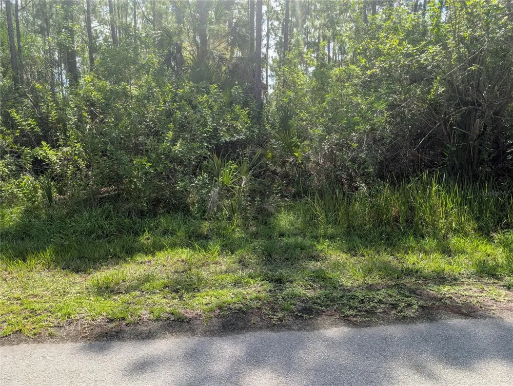 30 AMARYLLIS DRIVE Indian Lake Estates, FL 33855