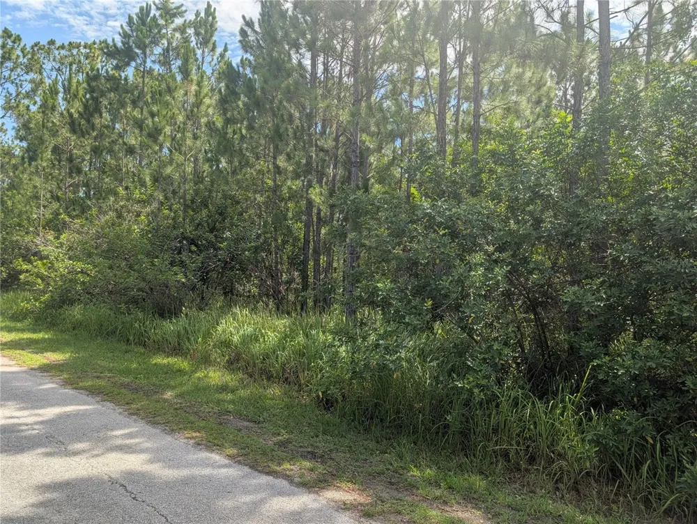 30 AMARYLLIS DRIVE Indian Lake Estates, FL 33855